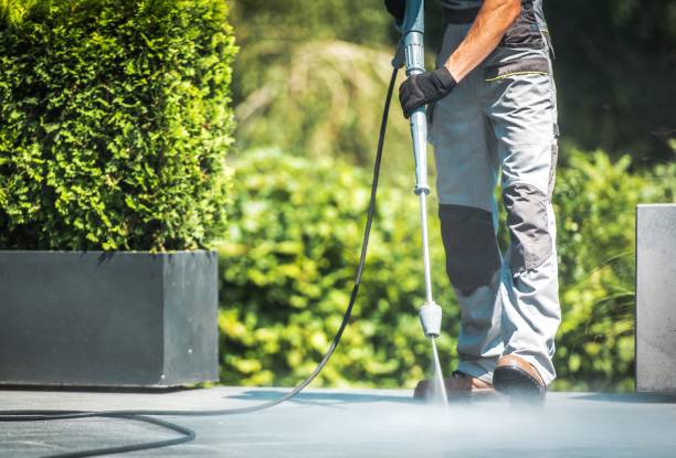Best Animal Enclosure Cleaning  in Bicknell, IN