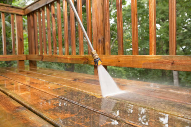 Best Roof Washing  in Bicknell, IN